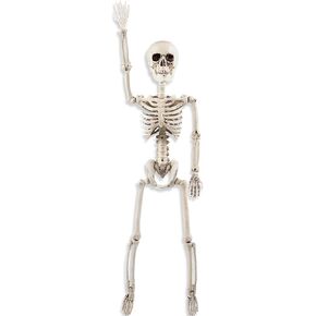 Fun Express 24" Posable Skeleton Halloween Decoration