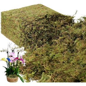 BYHER 35 OZ Large Capacity Fake Moss for Plants Indoor, Fresh Green Moss for Potted Plants Craft Moss for Home & Office Decor Fairy Garden Decoration (Fresh Green - 992gr)