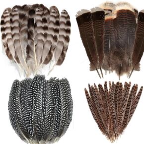 40 قطعة من ريش الدراج المرقط الطبيعي للحرف اليدوية، 6-8 بوصة من ريش الديك الرومي لصناعة القبعة بنفسك وترتيبات الأزهار لتزيين صائد الأحلام in Kuwait