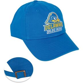 Desert Cactus University of Delaware Baseball Hat Fightin Blue Hens UD Brimmed Embroirderd Hats Cap Adjustable Cloth Strap Adult (Style C)