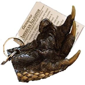 Alligator Claw Paw Real Gator Key Ring Magic Voodoo New Orleans Bayou