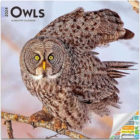 تقويم البوم 2024 - حزمة تقويم حائط البوم الفاخرة 2024 مع أكثر من 100 ملصق تقويم (هدايا البوم، لوازم المكتب) in Kuwait