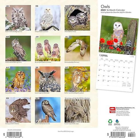 تقويم البوم 2024 - حزمة تقويم حائط البوم الفاخرة 2024 مع أكثر من 100 ملصق تقويم (هدايا البوم، لوازم المكتب) in Kuwait