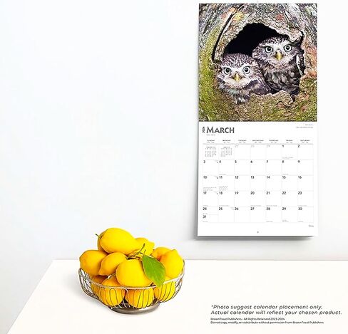 تقويم البوم 2024 - حزمة تقويم حائط البوم الفاخرة 2024 مع أكثر من 100 ملصق تقويم (هدايا البوم، لوازم المكتب) in Kuwait