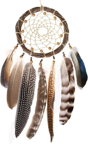 40 قطعة من ريش الدراج المرقط الطبيعي للحرف اليدوية، 6-8 بوصة من ريش الديك الرومي لصناعة القبعة بنفسك وترتيبات الأزهار لتزيين صائد الأحلام in Kuwait