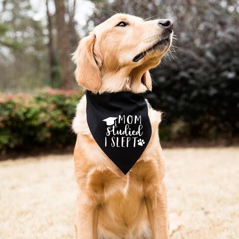باندانا التخرج للكلاب، وشاح مثلث أسود للتخرج للكلاب، صدريات منديل قابلة للتعديل للحيوانات الأليفة قابلة للغسل، ملابس للكلاب، هدية باندانا التخرج للكلاب الصغيرة والمتوسطة والكبيرة، مستلزمات حفلات التخرج in Kuwait