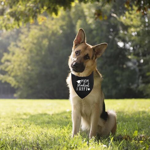 باندانا التخرج للكلاب، وشاح مثلث أسود للتخرج للكلاب، صدريات منديل قابلة للتعديل للحيوانات الأليفة قابلة للغسل، ملابس للكلاب، هدية باندانا التخرج للكلاب الصغيرة والمتوسطة والكبيرة، مستلزمات حفلات التخرج in Kuwait