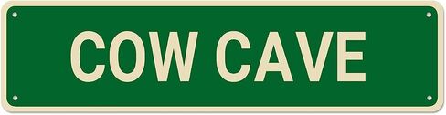 Metal Tin Signs KOALA CAVE Funny metal Signs Vintage Sign Retro Tin Signs Aluminum Metal Sign for Bedroom Kitchen Garden Wall Bab Club Coffee Hanging Sign Home Decor 4×16Inch in Saudi Arabia