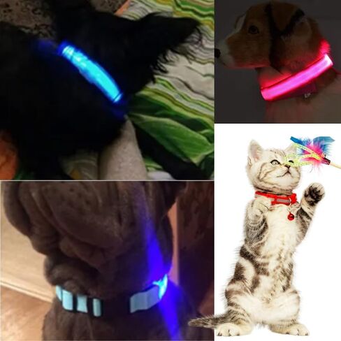 طوق قطط عاكس من بروتيك مع جرس رنين وإصدار آمن، أطواق قطط قابلة للتعديل للقطط الأليفة وحزام مطاطي للسلامة، مشبك أمان، تصميم لطيف عاكس للسلامة، ألوان زاهية، أزرق in Kuwait