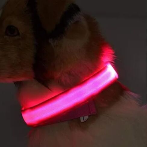 طوق قطط عاكس من بروتيك مع جرس رنين وإصدار آمن، أطواق قطط قابلة للتعديل للقطط الأليفة وحزام مطاطي للسلامة، مشبك أمان، تصميم لطيف عاكس للسلامة، ألوان زاهية، أزرق in Kuwait