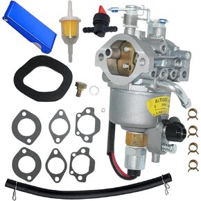 A041D736 Carburetor Fit for Onan Cummins A042P622 A042P619, Microquiet 4000-Watt 4KYFA26100 4KYFA26100P, 4KYFA26100K, 1460785, 1460803 Generator