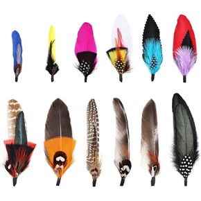 12Pcs Hat Feathers, Assorted Natural Feathers for Hats Colorful Real Feathers Pin for DIY Craft, Men Women Cowboy Hats, Fedora, Party Hats,Oktoberfest (12 Style)
