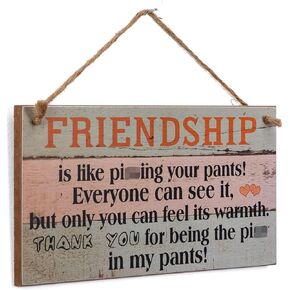 Funny Friendship Gifts for Women Friends - Birthday Gifts for Best Friends Unique Gifts for Her - Wall Art Decor Wooden Sign, 12" by 6"