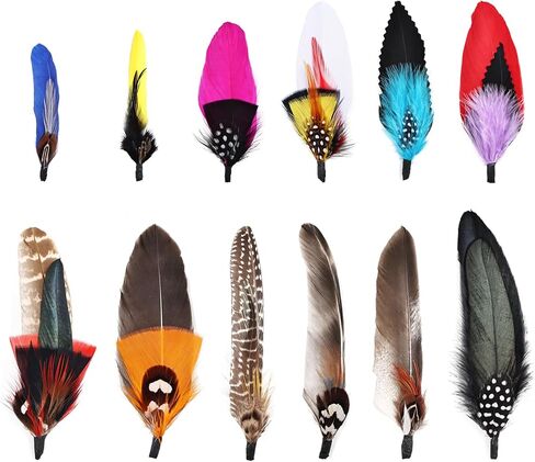 12Pcs Hat Feathers, Assorted Natural Feathers for Hats Colorful Real Feathers Pin for DIY Craft, Men Women Cowboy Hats, Fedora, Party Hats,Oktoberfest (12 Style) in Saudi Arabia