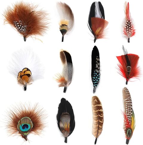 12Pcs Hat Feathers, Assorted Natural Feathers for Hats Colorful Real Feathers Pin for DIY Craft, Men Women Cowboy Hats, Fedora, Party Hats,Oktoberfest (12 Style) in Saudi Arabia