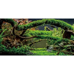 AWERT 48x24 inches Aquarium Background Branches Terrarium Background Aquatic Plant River Bed & Lake Fish Tank Background Vinyl Background