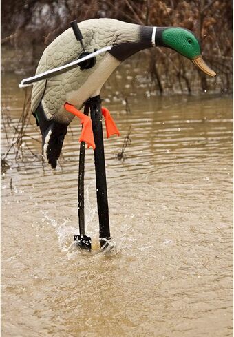 MOJO Outdoors Duck Hunting Motion Decoys in Kuwait