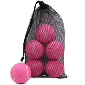Tennis Balls, 6 Pack Training Tennis Balls,High Elasticity Practice Tennis Balls for Beginner, Exercise Playing Balls for Pet Dog