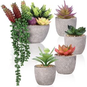 5pcs CEWOR النباتات العصارية وهمية النباتات العصارية الاصطناعية في الأواني أحجام مختلطة العصارة فو مع الاسمنت مثل الأواني لمكتب المنزل مكتب غرفة المعيشة الديكور in Kuwait