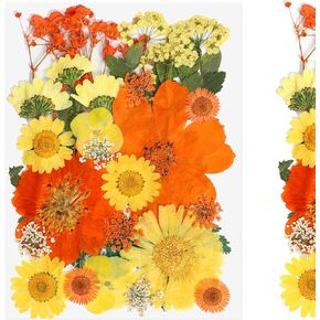 Dried Pressed Flowers for Crafts, Real Dried Flowers Natural Dry Leaves Bulk for Resin Scrapbooking DIY Candle Nails Jewelry Pendant Soap Making (Green)