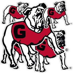 Desert Cactus University of Georgia Sticker Bulldogs UGA Dawgs Stickers Vinyl Decals Laptop Water Bottle Car Scrapbook T3 (Type 3-7)