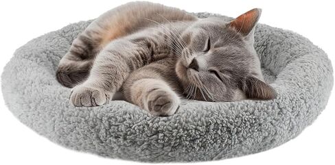 سرير للقطط من lesypet للقطط الداخلية، وسادة نوم مجعدة لسرير القطط الصغيرة مع وسادة مرتفعة حولها، حصيرة سفلية غير قابلة للانزلاق وقابلة للغسل للهامستر أرنب الحيوانات الأليفة الصغيرة، دائرية متوسطة 15.75 بوصة in Kuwait