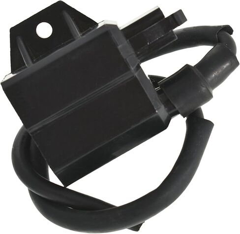 WFLNHB Ignitione Coil CDI Assembly Replacement for 1987-2001 Suzuki LT80 LT 80 Quadsport in Saudi Arabia