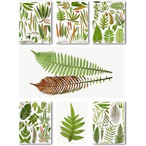 Decoupage Paper Pack (15 Sheets 8"x11") Tropical Fern Leaves Antique Botannical Book Engraving Illustration HANATABA Vintage Styled Ephemera Pictures for Decoupage Craft and Scrapbooking