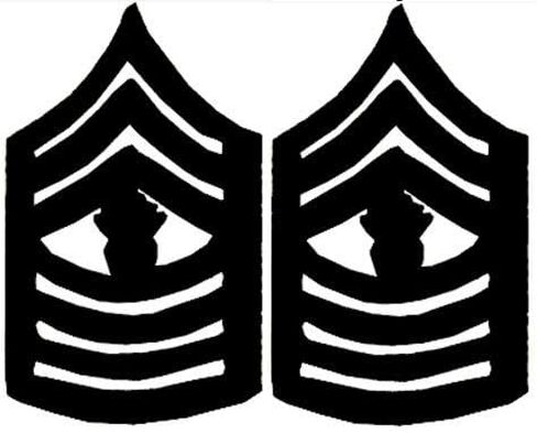 United States Marine Corps Insignia of Rank Pins (Set of Two) in Saudi Arabia