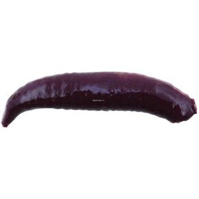 Berkley Gulp! Alive! Floating Pinched Crawler Fishing Soft Bait, Nightcrawler, 1in