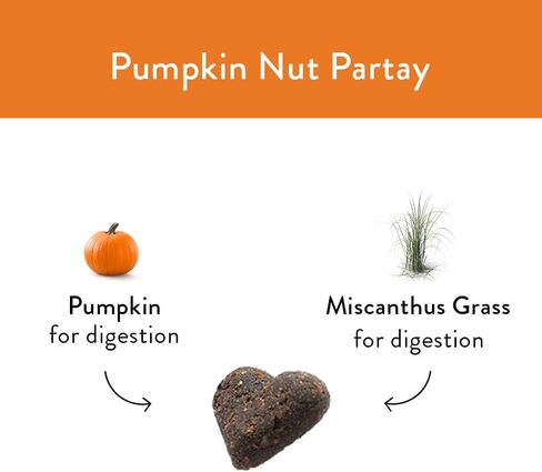 Shameless Pets Pumpkin Nut Par-Tay Soft-Baked Biscuit, 6 OZ in Saudi Arabia