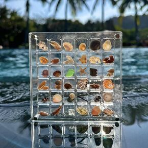 Acrylic Magnetic Seashell Display Box, Acrylic Display Case, Clear Acrylic Box Shell Display Box Acrylic Organizers for Bead, Nail, Jewelry (36 Grids)
