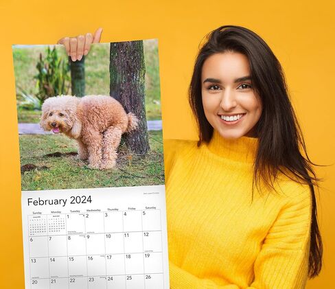 Pooping Pups 2025 Hangable Wall Calendar Fun Funny Dog Photo Joke Gift Poop Puppy Dogs Photography Large Full Page 16 Monthly Birthday Gift (2025 Pooping Pups) in Saudi Arabia
