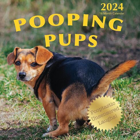 Pooping Pups 2025 Hangable Wall Calendar Fun Funny Dog Photo Joke Gift Poop Puppy Dogs Photography Large Full Page 16 Monthly Birthday Gift (2025 Pooping Pups) in Saudi Arabia