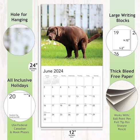 Pooping Pups 2025 Hangable Wall Calendar Fun Funny Dog Photo Joke Gift Poop Puppy Dogs Photography Large Full Page 16 Monthly Birthday Gift (2025 Pooping Pups) in Saudi Arabia