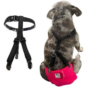 Pet & Dog Suspenders for Diapers Female| Ideal for Escape Proof Dog Diapers & Keep On Garments| Comfortable for Senior Dogs & IVDD Warriors (Extra Small)