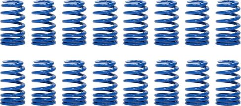 زنبرك صمام Pac Racing Springs، سلسلة 1200، زنبرك خلية النحل البيضاوي، معدل زنبرك 285 رطل/بوصة، 1.181 بوصة ربط ملف، 1.282 بوصة OD، مجموعة من 16 (PAC-1280X) in Saudi Arabia