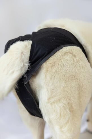Dog Pants with 3 Replace Diaper, Female Dog Heat Cycle Reusable Diapers Adjustable Pads for Dogs in Heat Black XS in Saudi Arabia