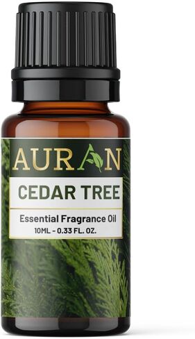 Essential Frangrance Oil (Japanese Cherry Blossom), 1 Fl Oz (Pack of 1) in Saudi Arabia