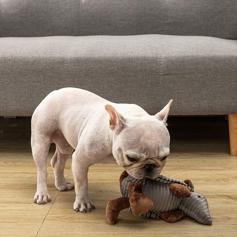 Hollypet Armadillo Squeaky Puppy Dog Toys for Small Medium Dogs, 8" in Kuwait