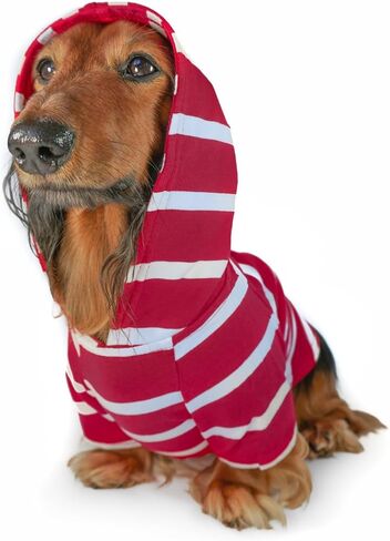 DJANGO Dog Hoodie - Soft, Stretchy, & Cozy Sweatshirts for Dogs - Black Winter Dog Sweaters for Dachshunds and Small Dogs - Machine Washable Hoodie for Dogs with Elastic Waistband and Harness Hole in Kuwait