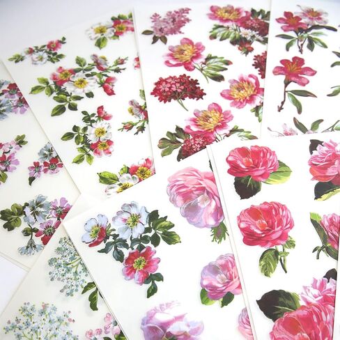 Anna Griffin Celebrations Floral Rub Ons in Saudi Arabia