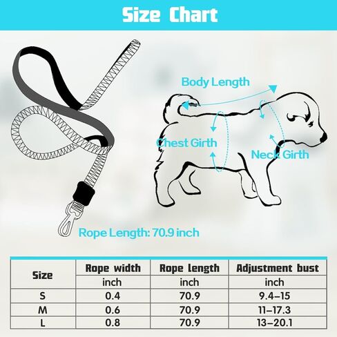 Triangle Leashes Set Pet Walking Training Pet Summer Set with Bee Adjustable for Small Medium Large Dogs Cute Dog Harness Puppy Harness Small Dog Vest for Girl Easy Control Dog Vest Harness（Purple,L） in Saudi Arabia