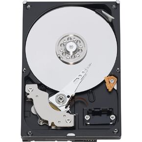 Western Digital 320 GB RE3 SATA 7200 RPM 16 MB Cache Bulk/OEM Enterprise Hard Drive WD3202ABYS
