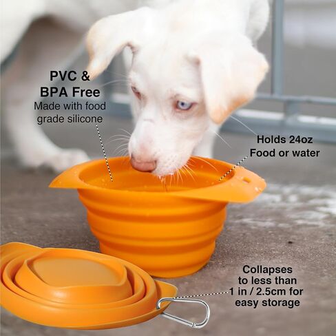 Kurgo Collapsible Travel Dog Bowl, Pet Food & Hiking Water Bowl, Food Grade Silicone Bowl for Dogs, Travel Accessories for Pets, BPA Free, Collaps a Bowl, Mash n’ Stash, Zippy Bowl in Saudi Arabia