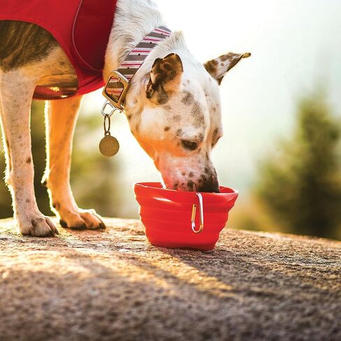 Kurgo Collapsible Travel Dog Bowl, Pet Food & Hiking Water Bowl, Food Grade Silicone Bowl for Dogs, Travel Accessories for Pets, BPA Free, Collaps a Bowl, Mash n’ Stash, Zippy Bowl in Saudi Arabia