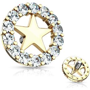 14GA تشيكوسلوفاكيا دائرة مرصوفة محددة بمركز النجمة مرساة جلدية داخلية ملولبة مع عمود شفاء جلدي صغير 2 مم 316L فولاذ جراحي in Kuwait