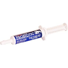 Canine Probiotic Paste for Dogs with 12.5 Billion Probiotic CFUs, Enzymes, Prebiotics and L-Glutamine for Urgent Care, 32.5 mL Tube