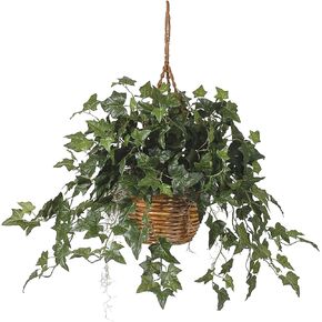 Nearly Natural English Ivy Hanging Basket, 36 in x 36 in x 26 in, Green