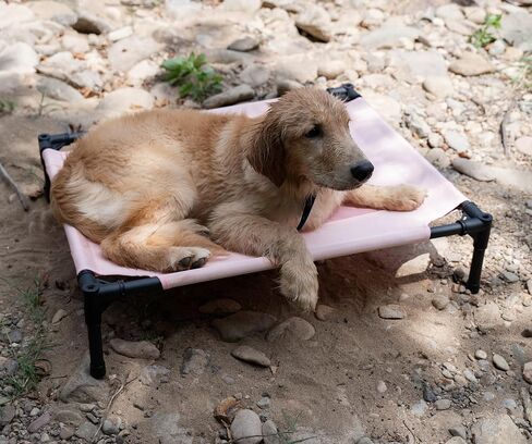 Small Elevated Dog Bed Outdoor Waterproof,Lifted Dog Cot Bed with Washable & Breathable Mesh,Raised Pet Hammock Bed with No-Slip Rubber Feet for Indoor & Outdoor Use,Pink,24 * 18 * 7 inches in Saudi Arabia